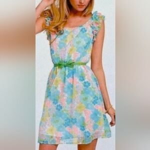 Lilly Pulitzer Danna Dress Spring Fling